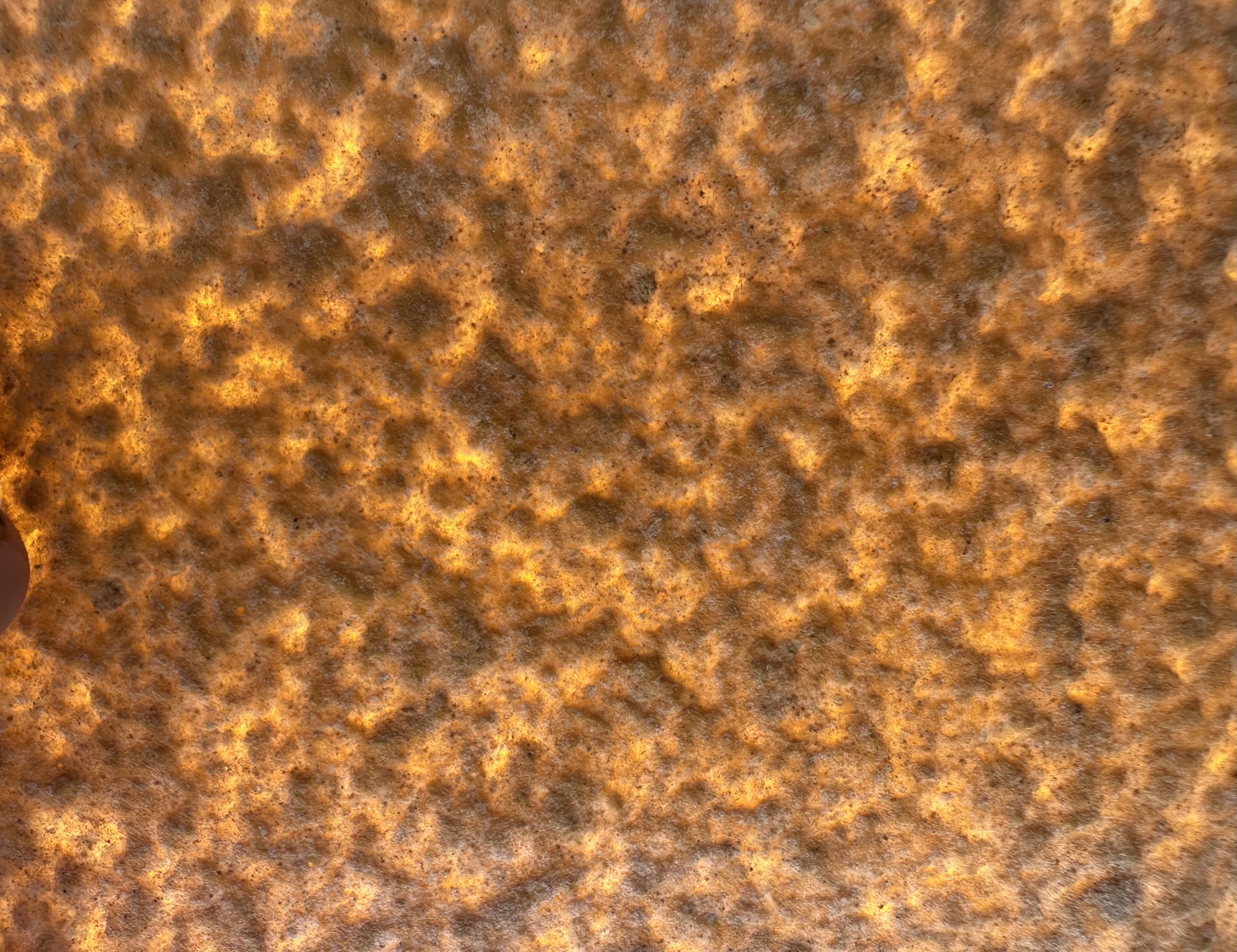 Bricks