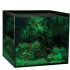 Aqua One Aquasys 155 Aquarium