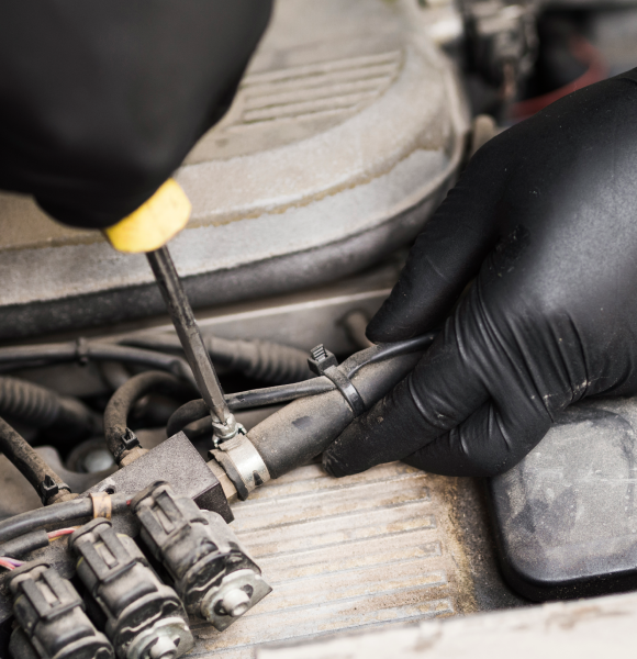 EGR and Intake<br> Manifold Cleaning