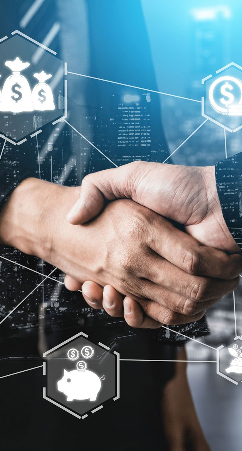 SEO Expert Sunshine Coast