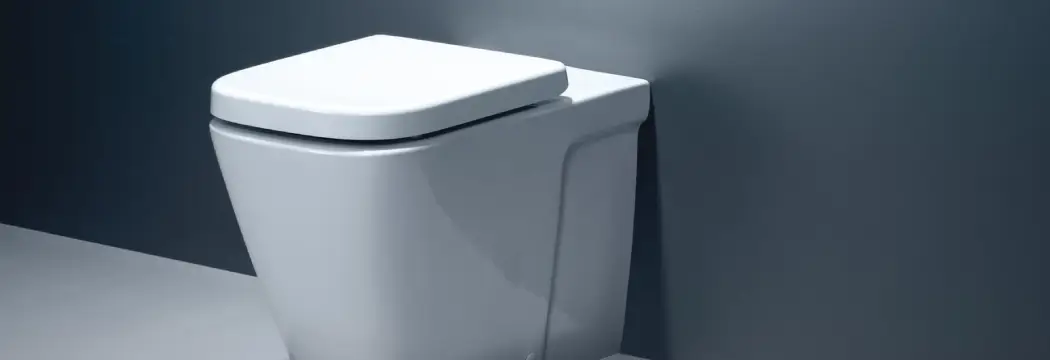 Wall Faced Toilets